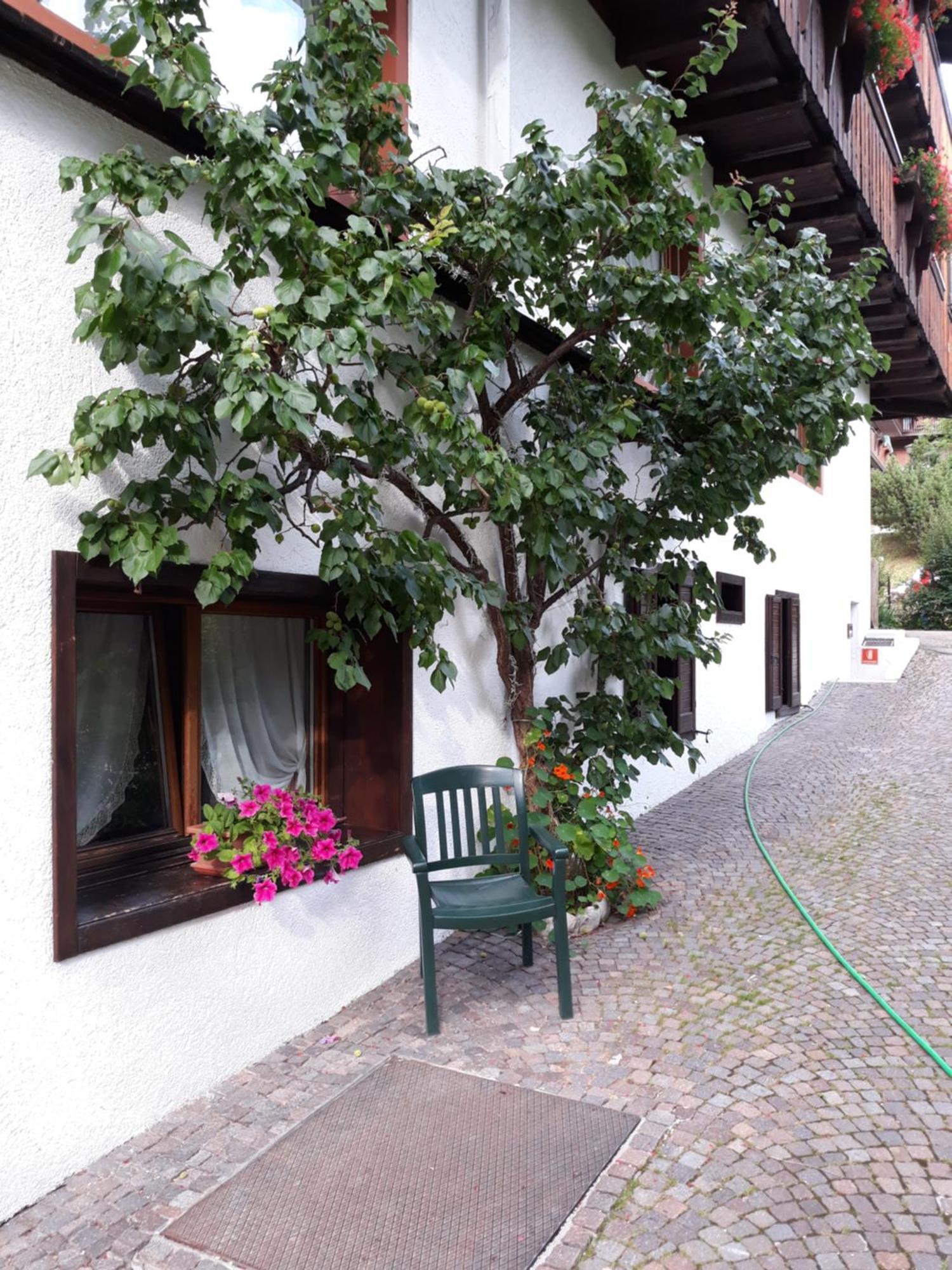 Hotel Principe