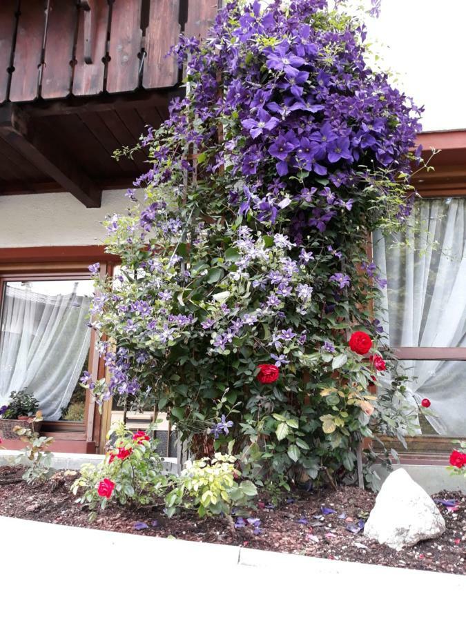 Hotel Principe Cortina dʼAmpezzo